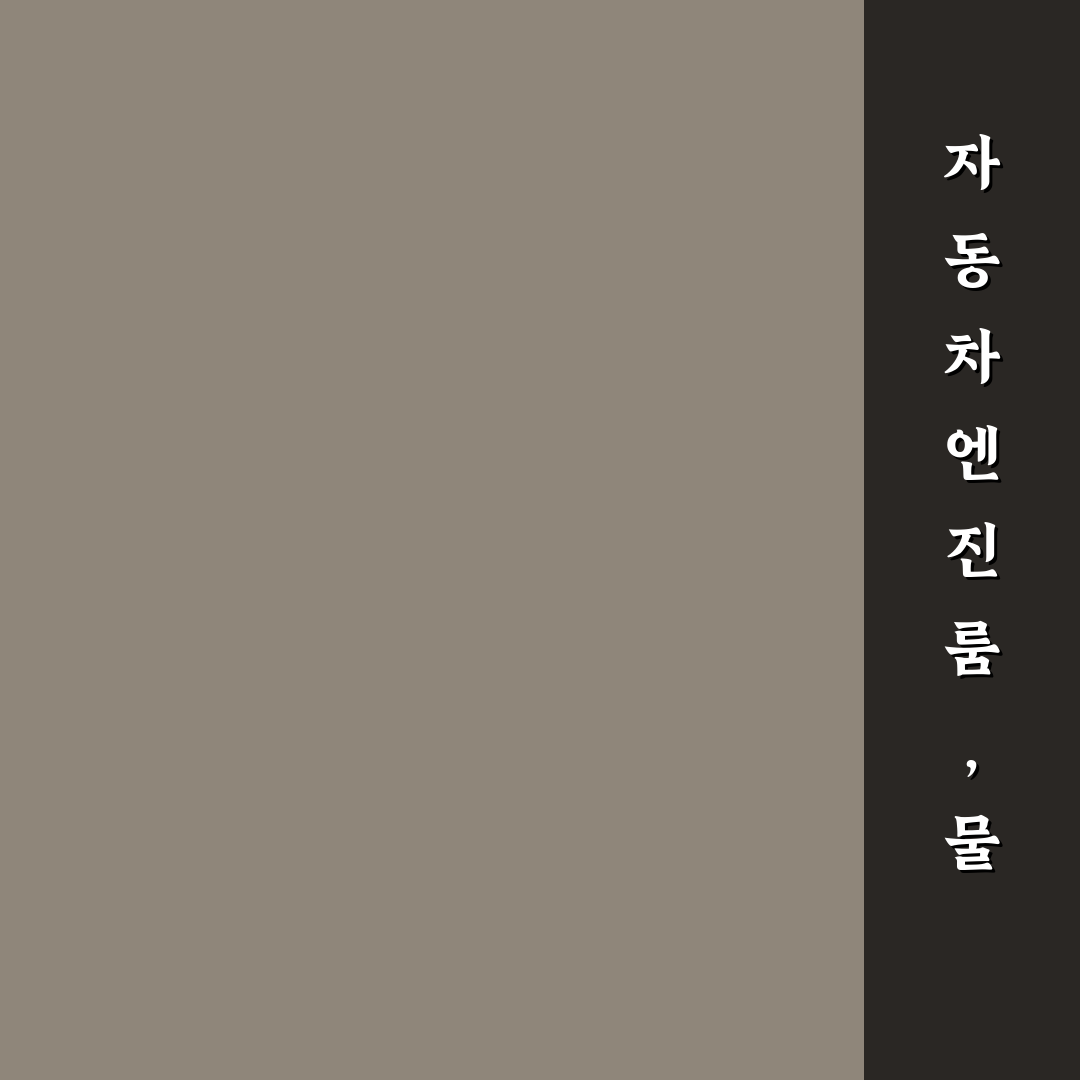 자동차 엔진룸 청소 물 세차 가능 여부와 꿀팁 정리