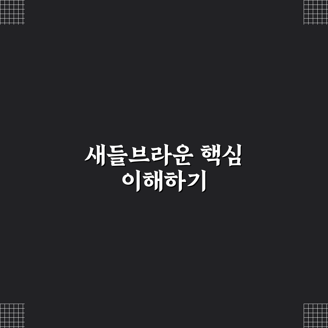 계산동 새들브라운 선택 5가지 기준 비교 분석 가이드