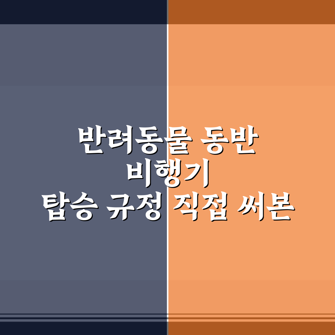 반려동물 동반 비행기 탑승 규정 직접 써본 솔직후기