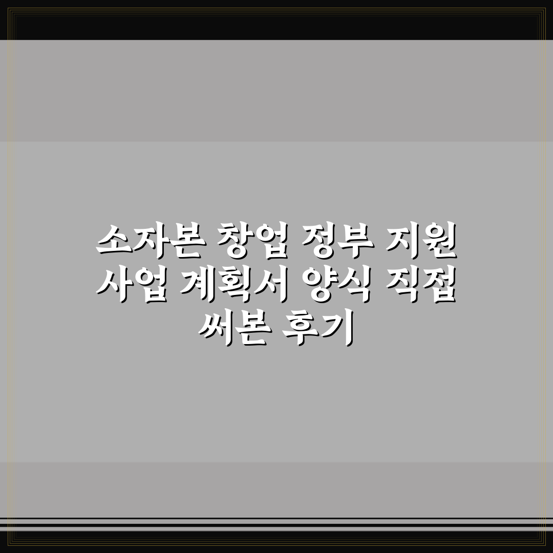소자본 창업 정부 지원 사업 계획서 양식 직접 써본 후기