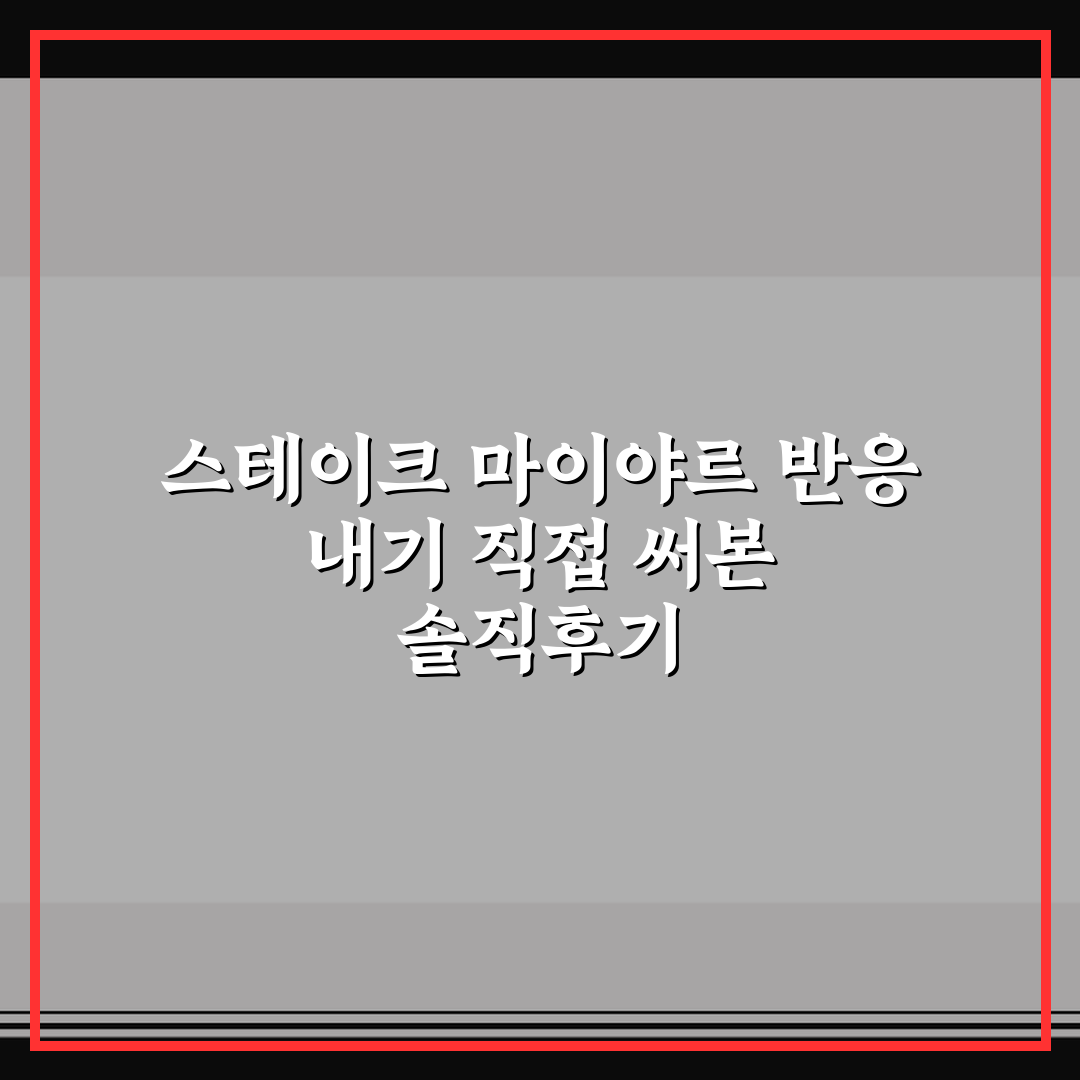 스테이크 마이야르 반응 내기 직접 써본 솔직후기