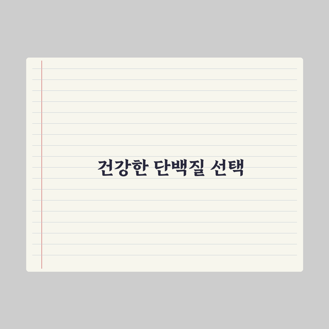 식물성 단백질 파우더 브랜드 비교와 추천 꿀팁 정리