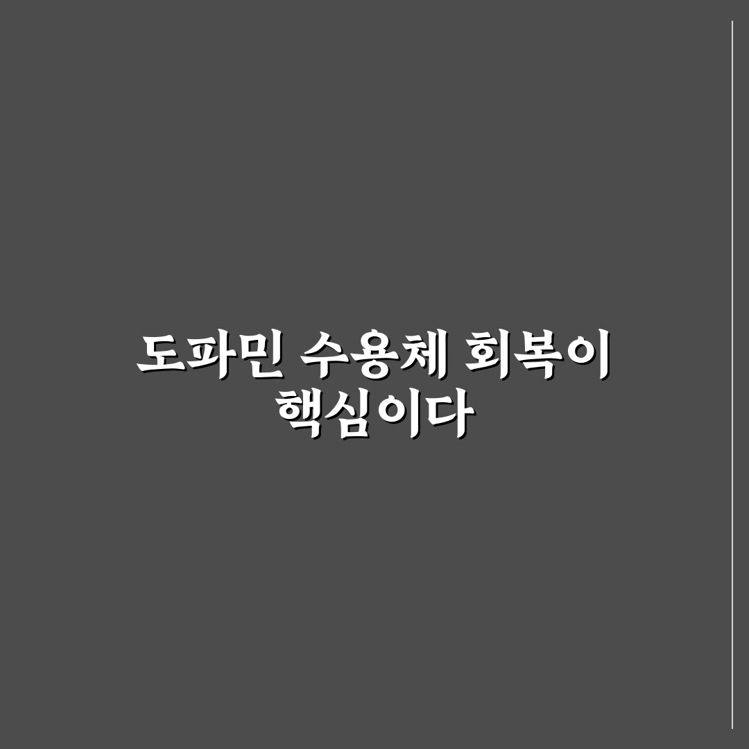 도파민 수용체 회복 기간 가이드와 꿀팁 쉽게 이해하기