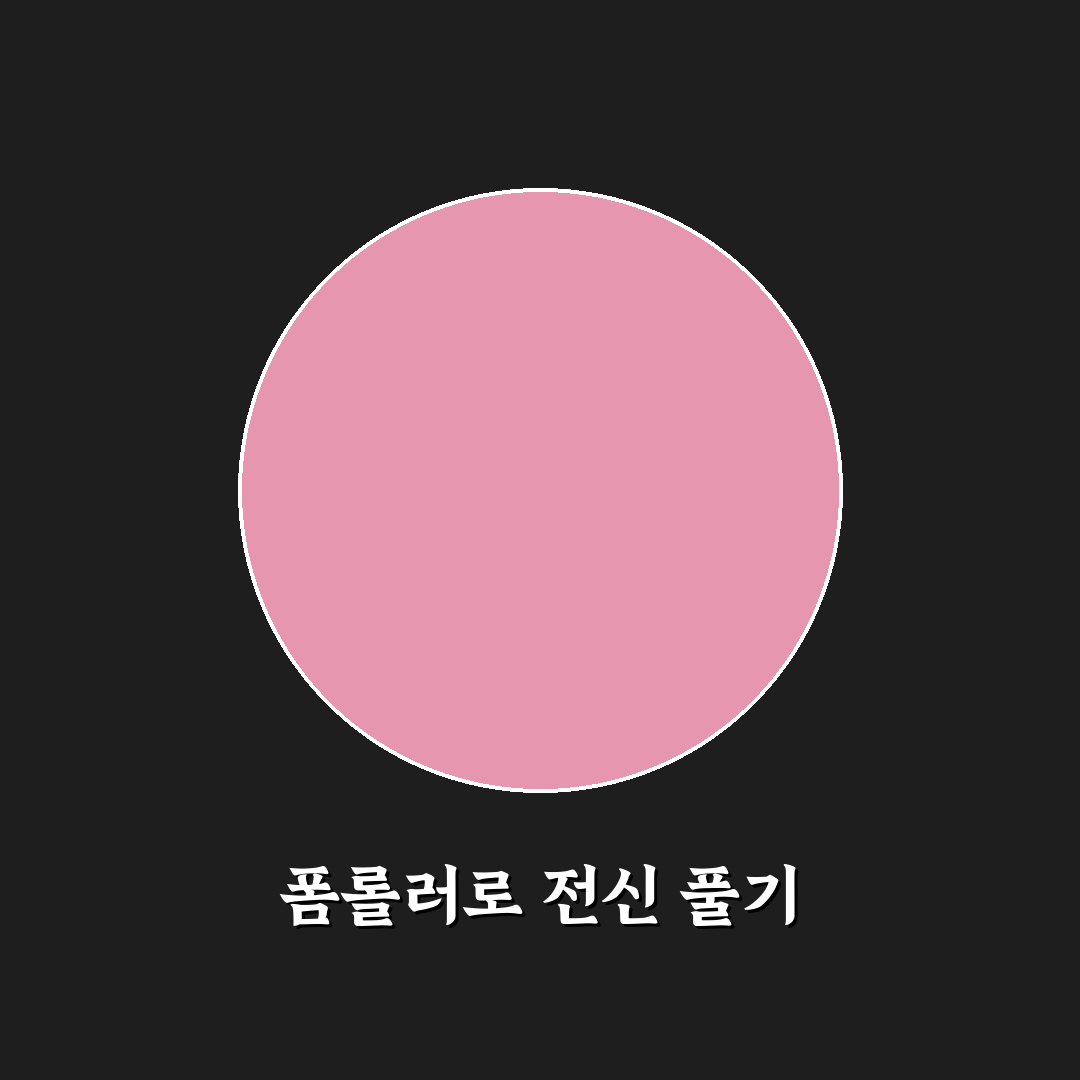 폼롤러 전신 스트레칭 루틴 추천 초보자도 쉽게 따라해요