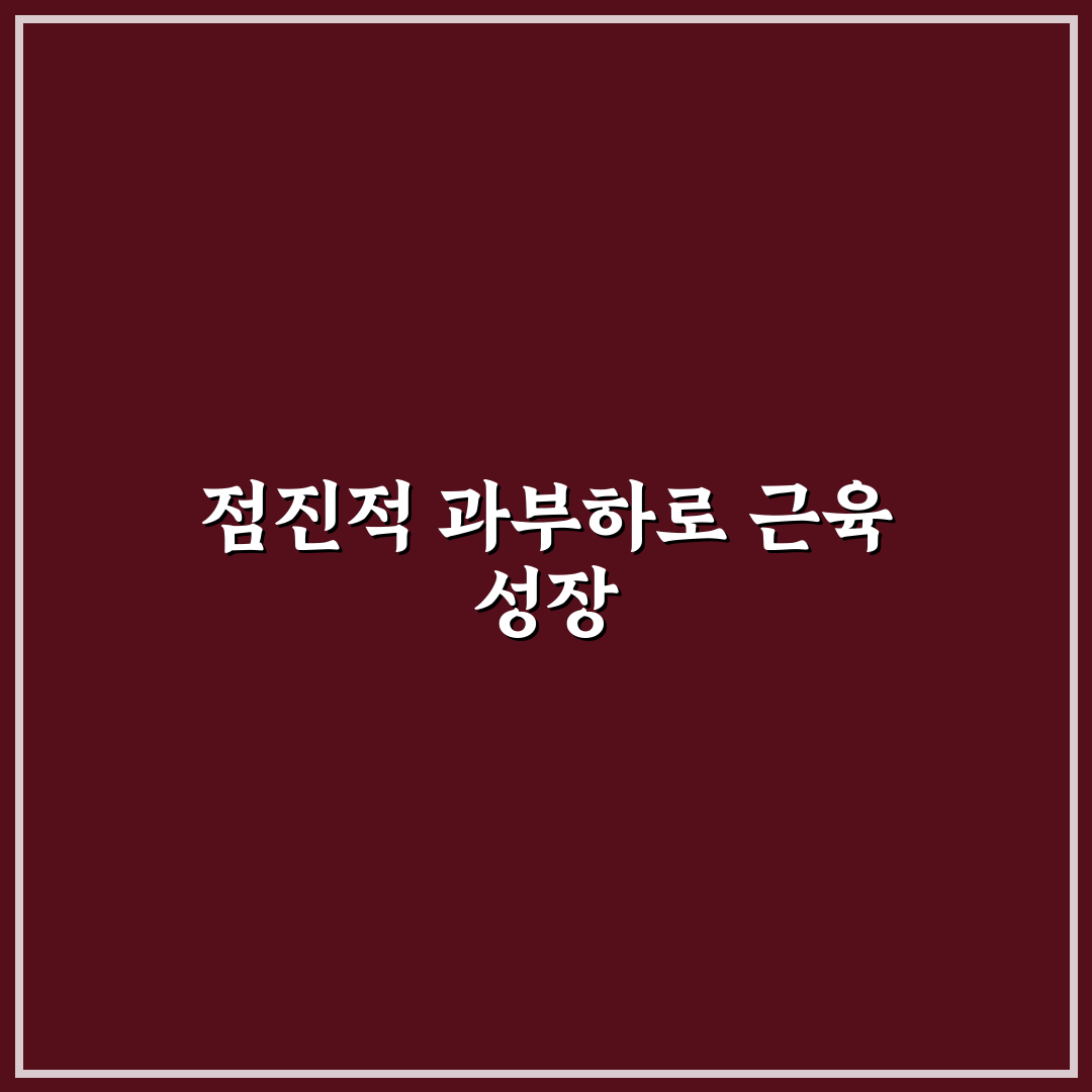 웨이트 트레이닝 점진적 과부하 적용법 꿀팁 쉽게 알려드려요