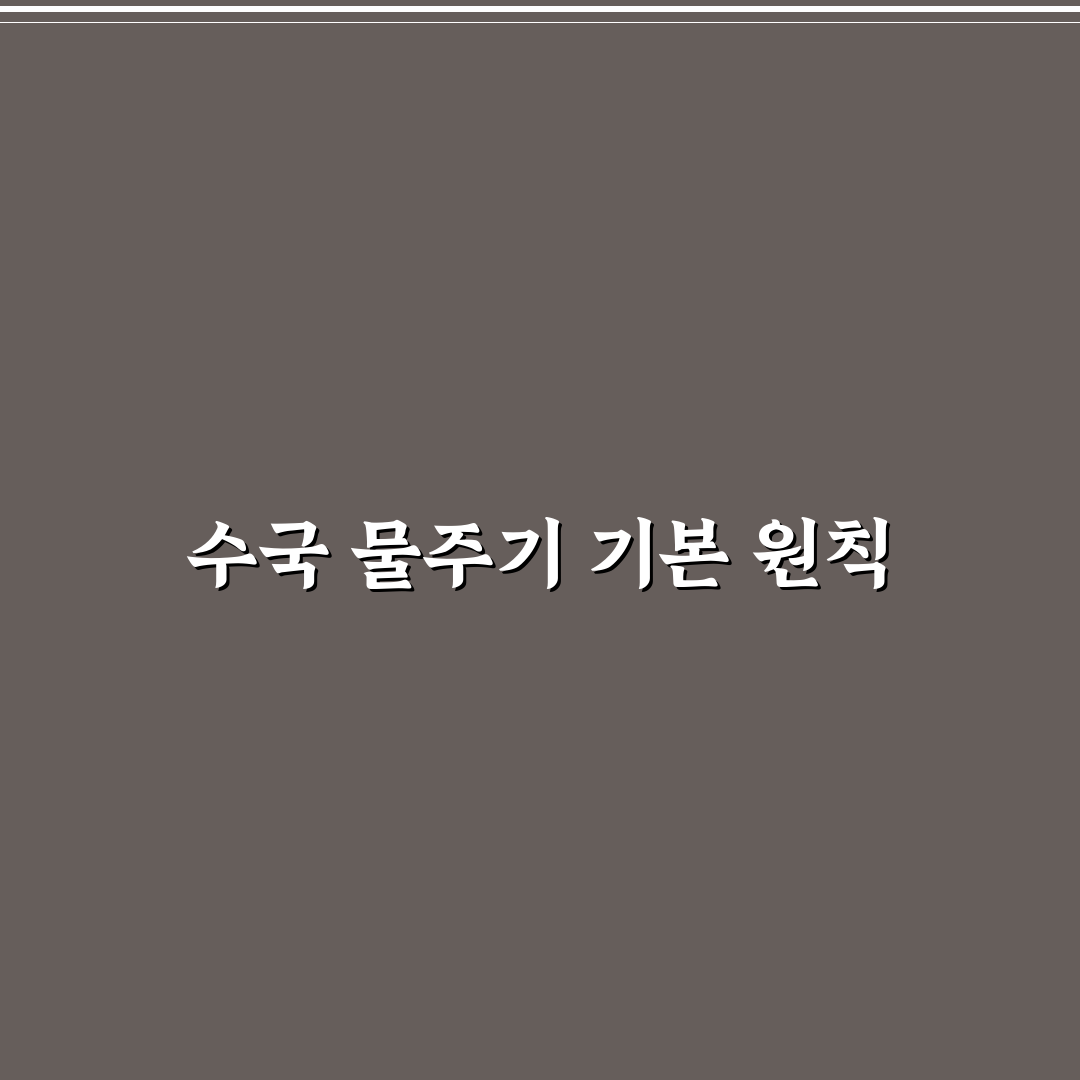 수국 키우기 물주는법 초보자도 알기 쉬운 꿀팁 공유