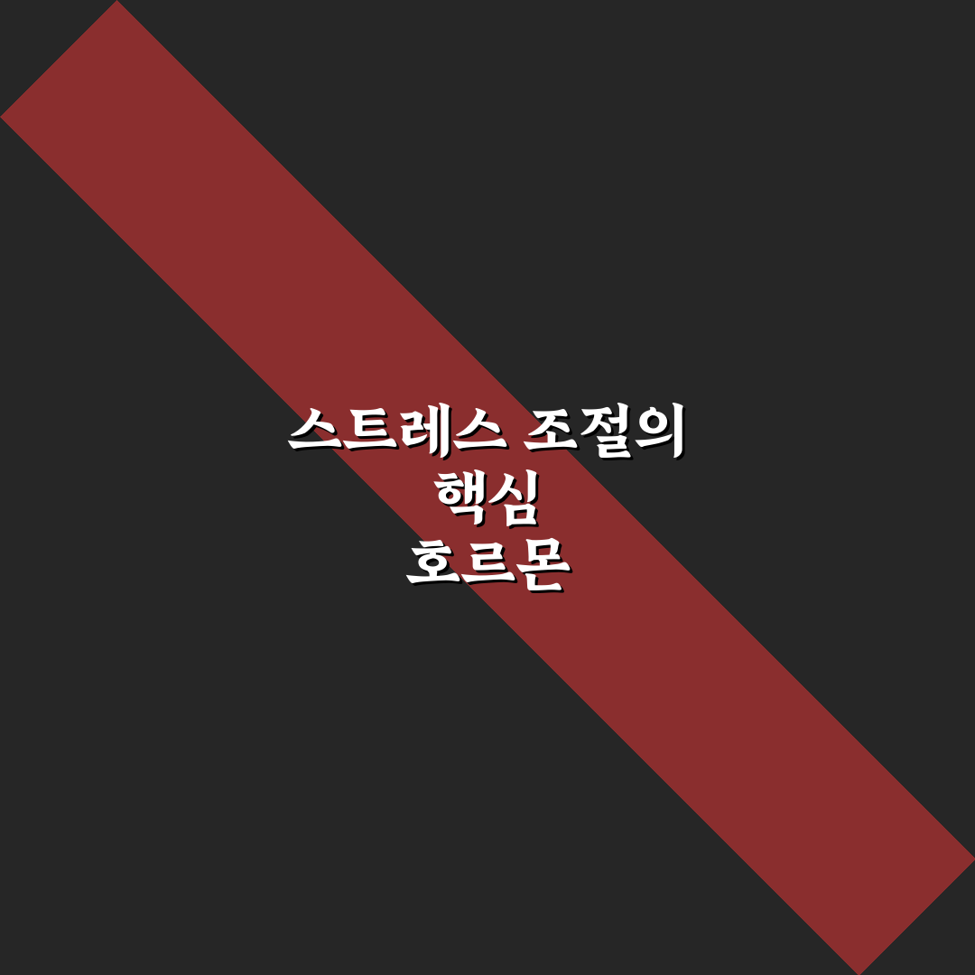 코르티솔 나무위키 정보와 주요 내용 정리