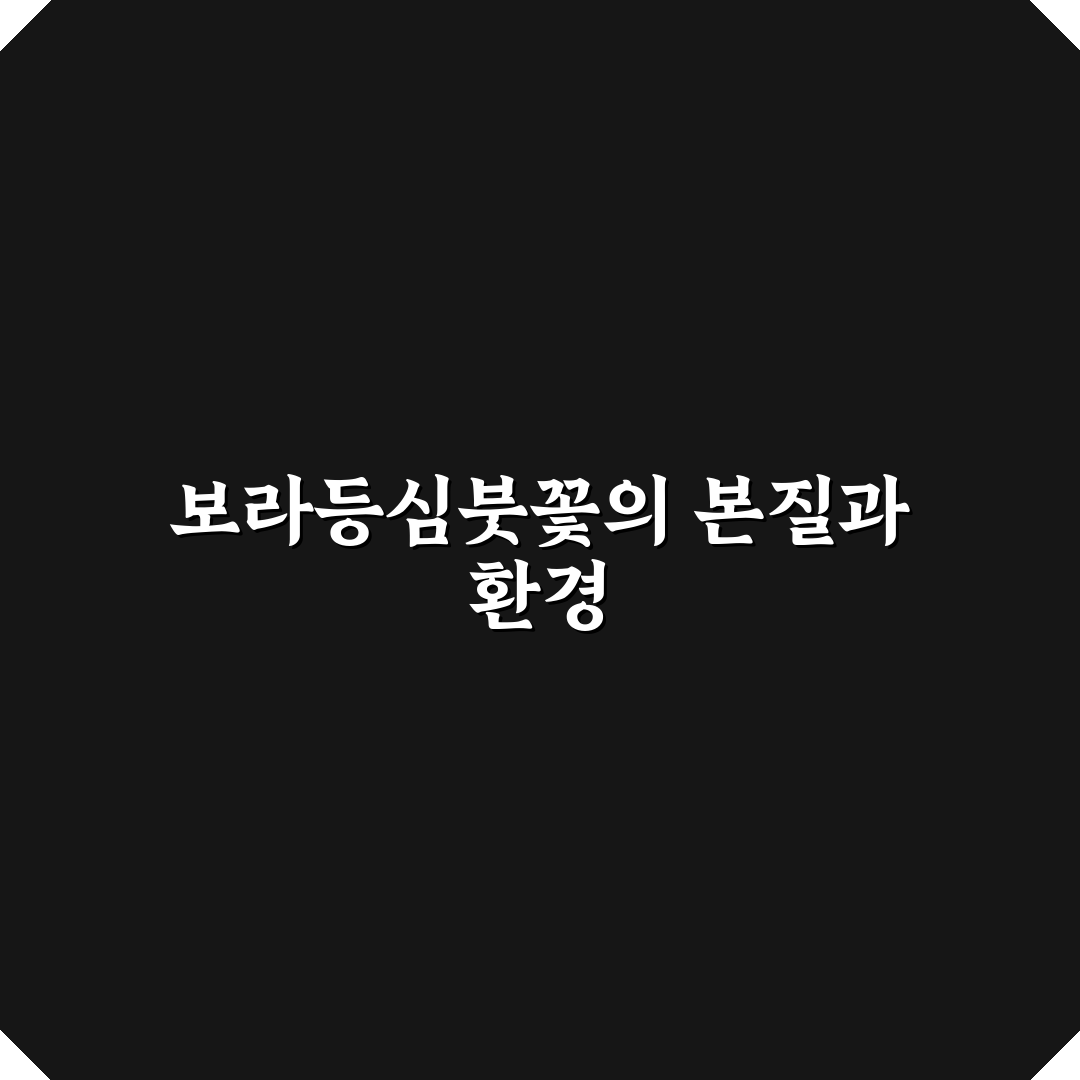 보라등심붓꽃 5가지 기준별 특징 비교 및 분석