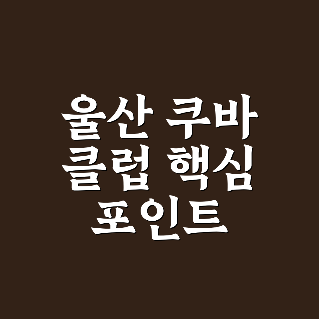 울산 쿠바 클럽 비교와 분석을 통한 방문 가이드 총정리