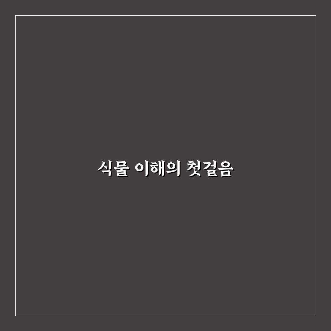 때죽나무 쪽동백 차이 5가지 기준별 비교와 분석