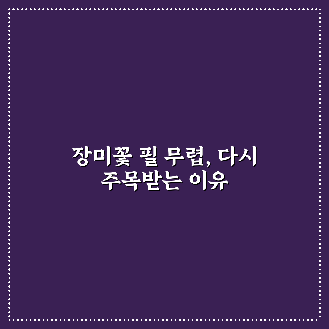 장미꽃 필 무렵 재방송 시청 가이드와 주요 체크포인트 분석