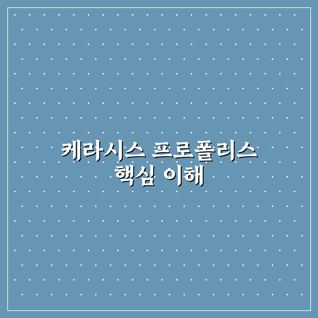 케라시스 프로폴리스 트리트먼트 사용법과 꿀팁 공유