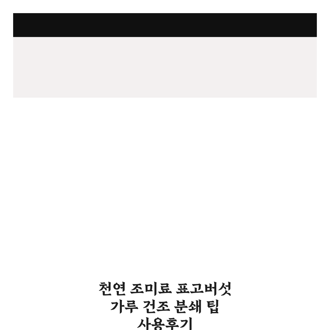 천연 조미료 표고버섯 가루 건조 분쇄 팁 사용후기