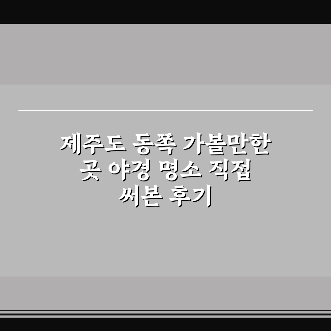 제주도 동쪽 가볼만한 곳 야경 명소 직접 써본 후기