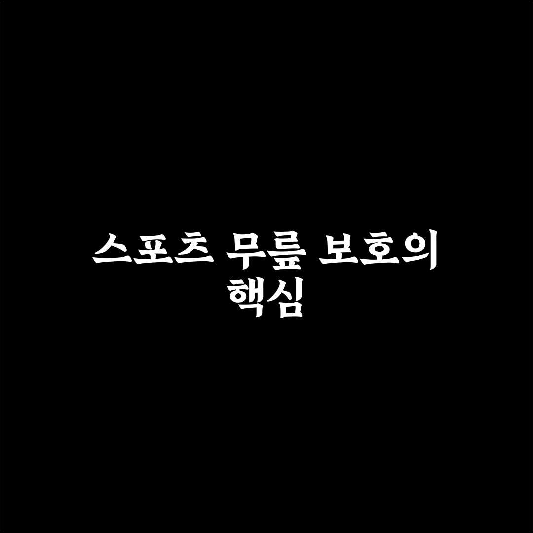 스포츠 무릎 보호대 테이핑 일체형 효과와 사용 꿀팁 알려드려요
