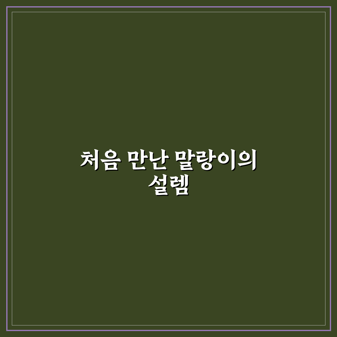 빵떡이 말랑이 사용 후기, 직접 써보니 어땠는지