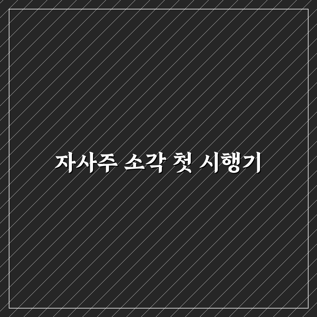자사주 소각 의무화 시행일 직접 알아보니 준비할 점들