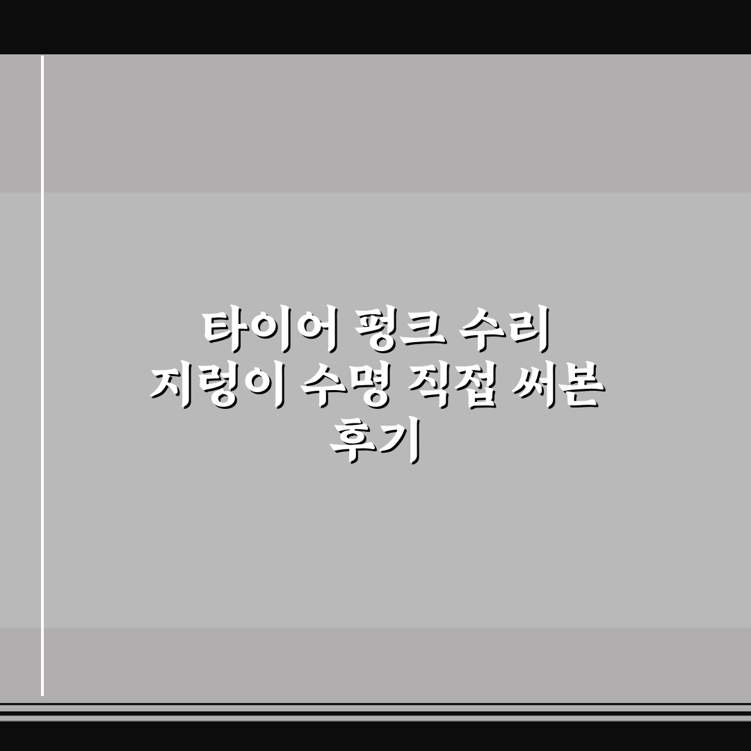 타이어 펑크 수리 지렁이 수명 직접 써본 후기