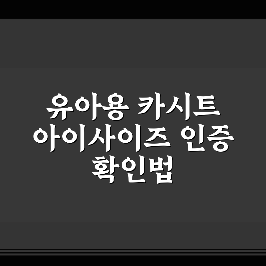 유아용 카시트 아이사이즈 인증 확인법 직접 써본 후기