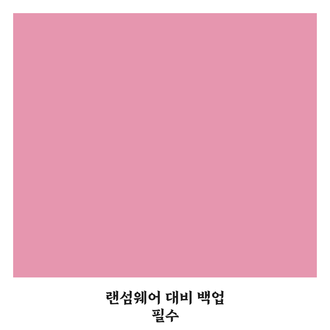 랜섬웨어 예방 백업 솔루션 추천과 사용 꿀팁 정리