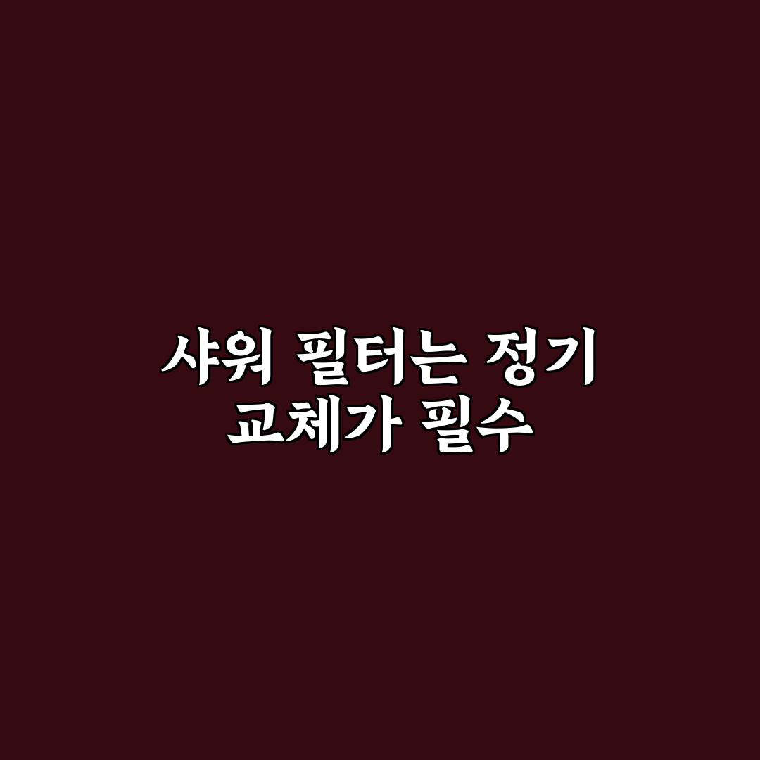 동남아 여행 샤워 필터 교체 주기 권장 꿀팁 알려드려요