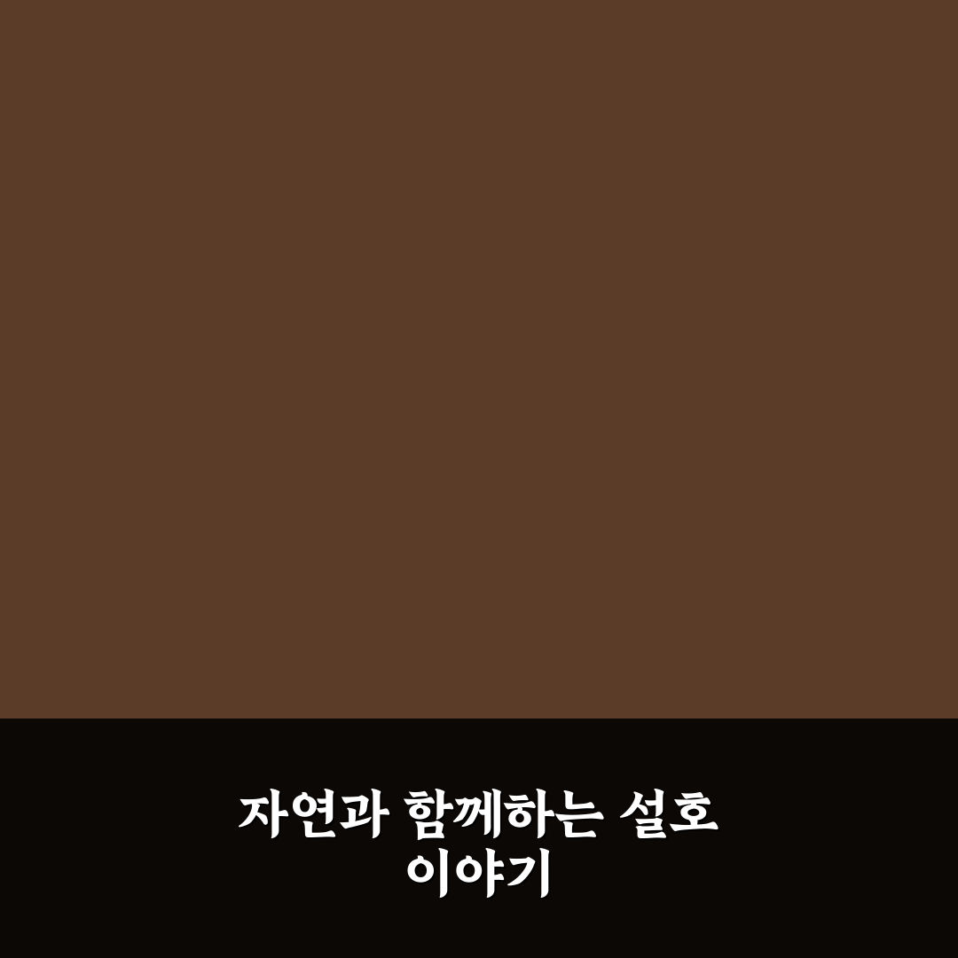 어린이대공원 설호 방문 전 꼭 알아야 할 5가지 체크포인트