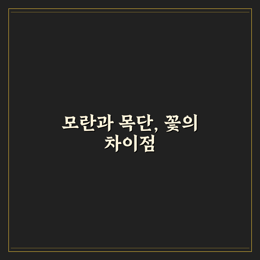 모란 목단 차이 쉽게 알아보는 추천 정보 정리