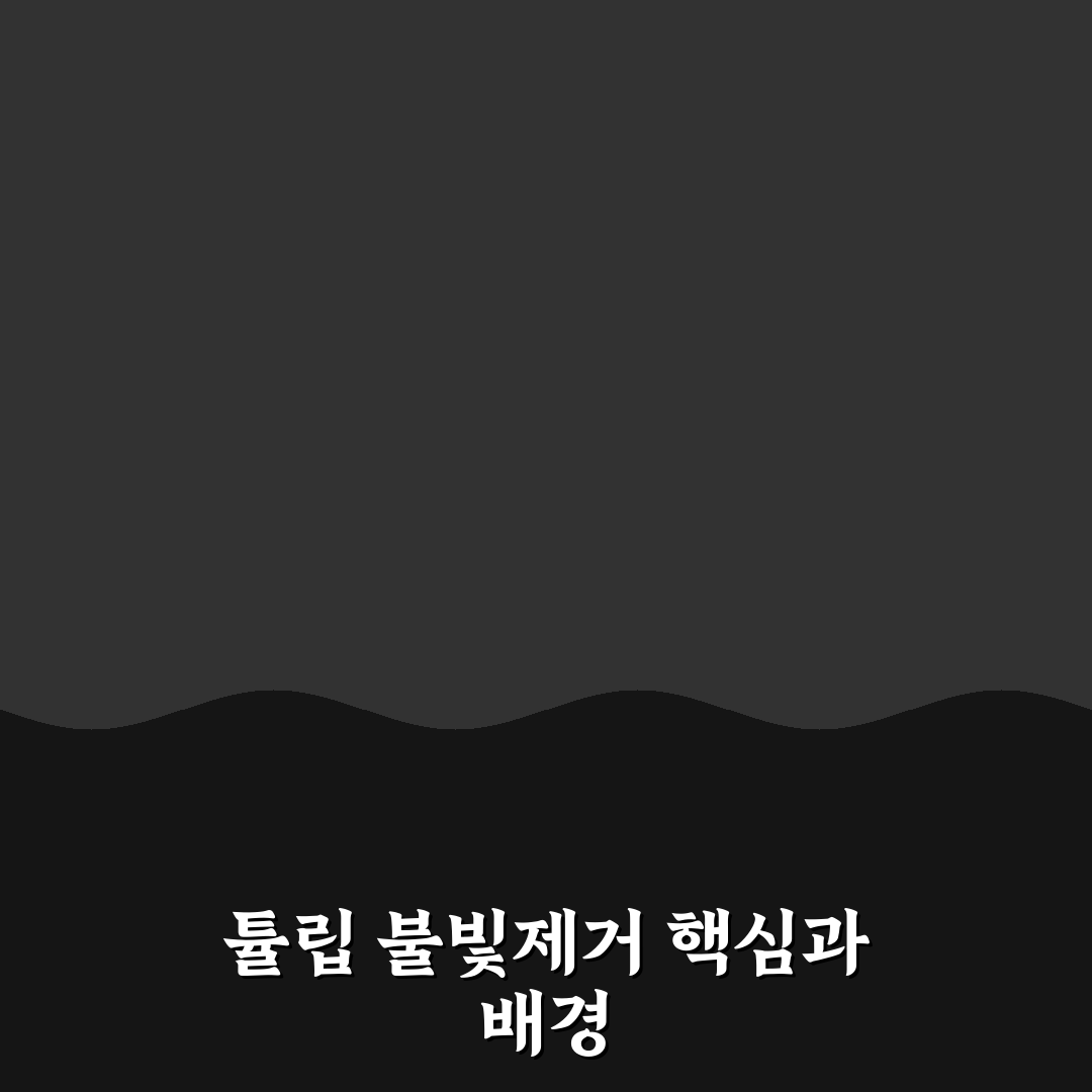 튤립 불빛제거 효과 비교와 5가지 체크포인트 분석