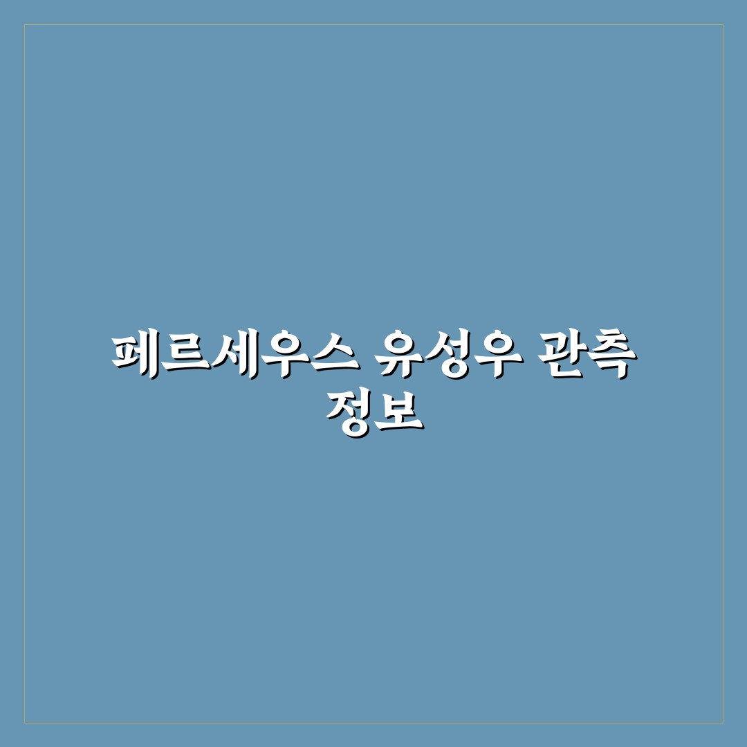 페르세우스 유성우 관측 시간 및 명당 추천과 꿀팁
