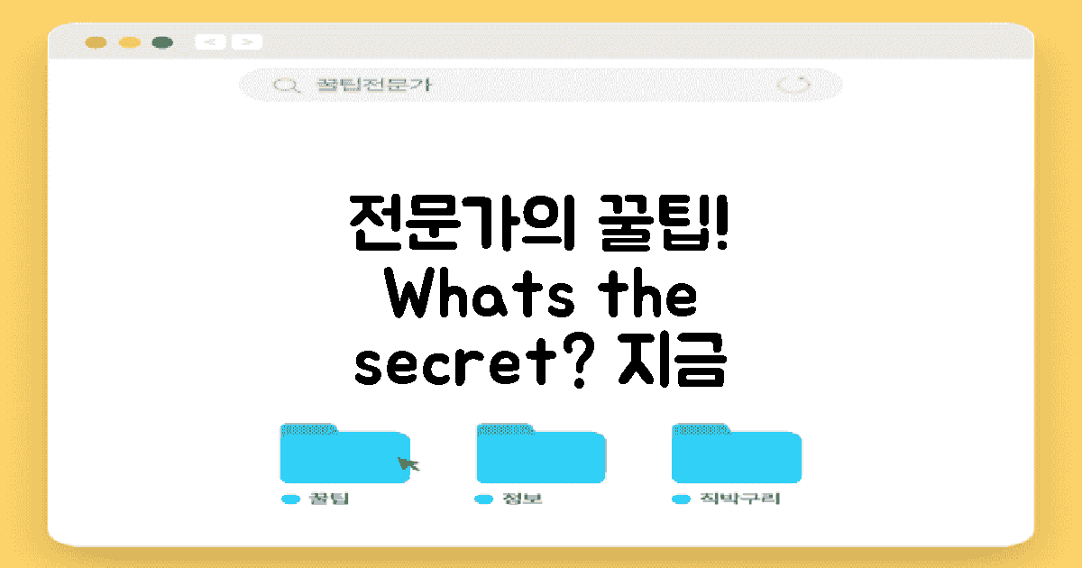 전문가의 팁은 무엇일까?