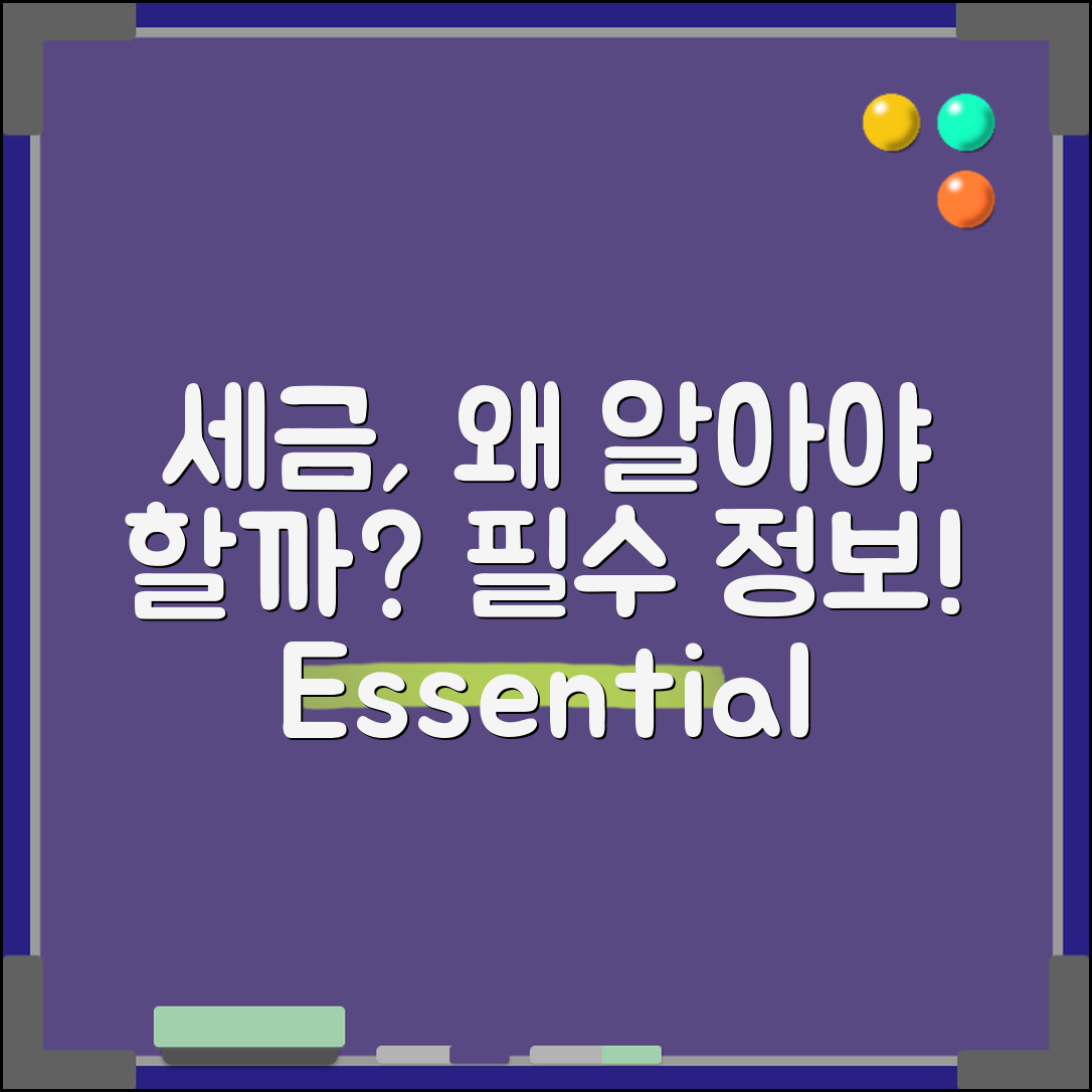 세금, 내가 꼭 알아야 할 이유는?