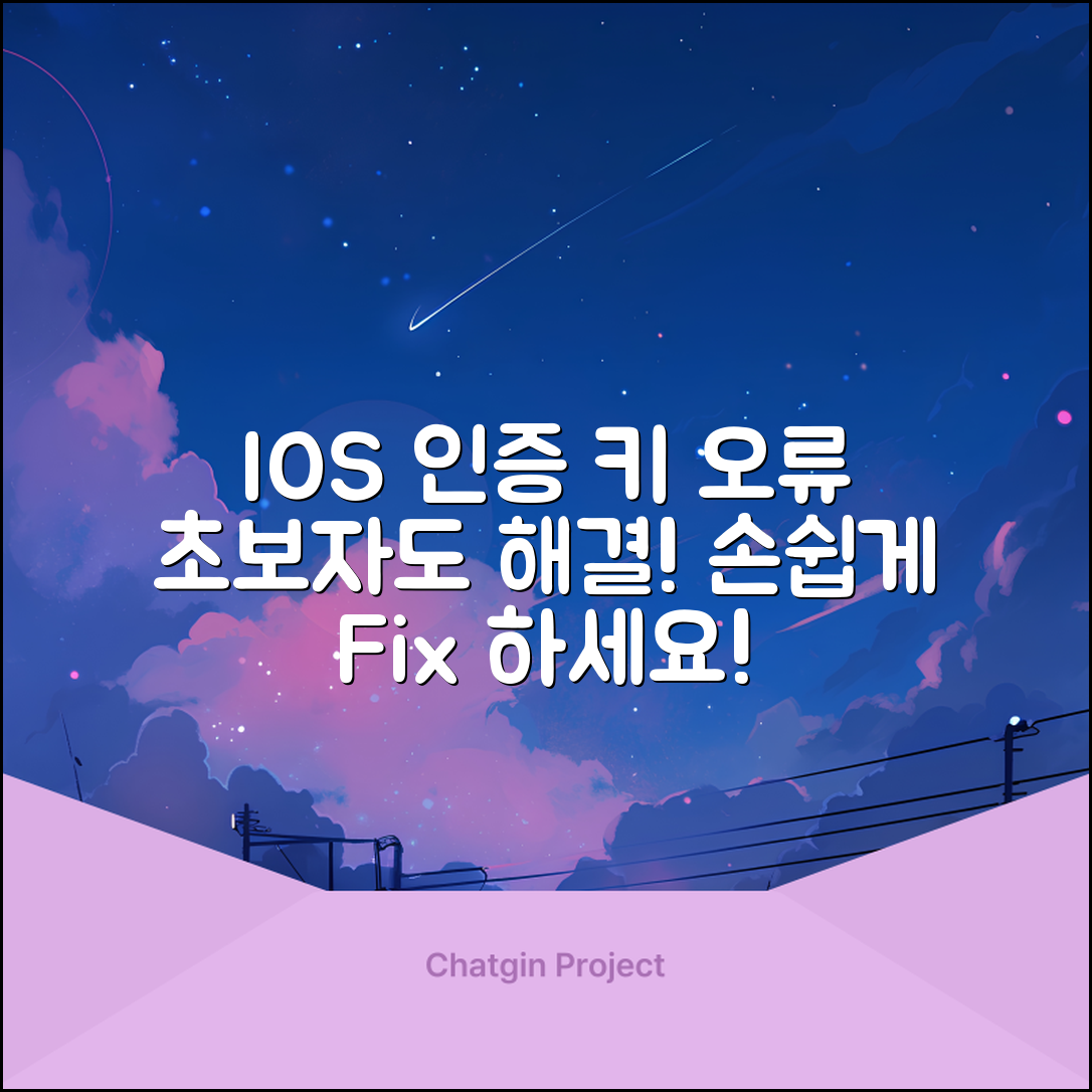 초보자도 쉽게 해결하는 IOS 인증 키 오류 수정 방법