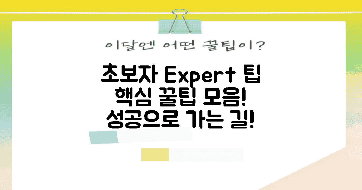 초보자와 전문가의 팁
