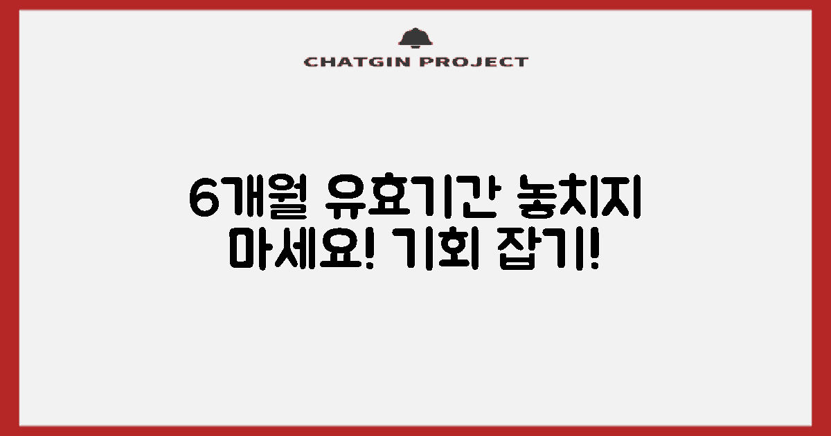 6개월간 유효 기간