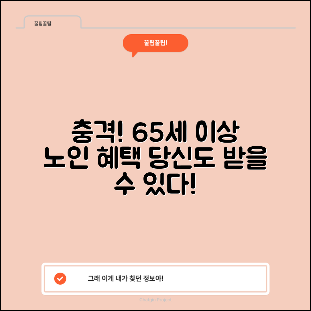 1. 충격적인 65세이상 노인 혜택! 당신도 받을 수 있다니!