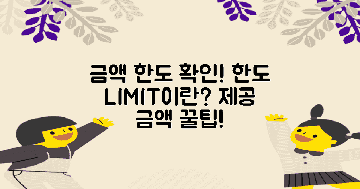 제공되는 금액 한도