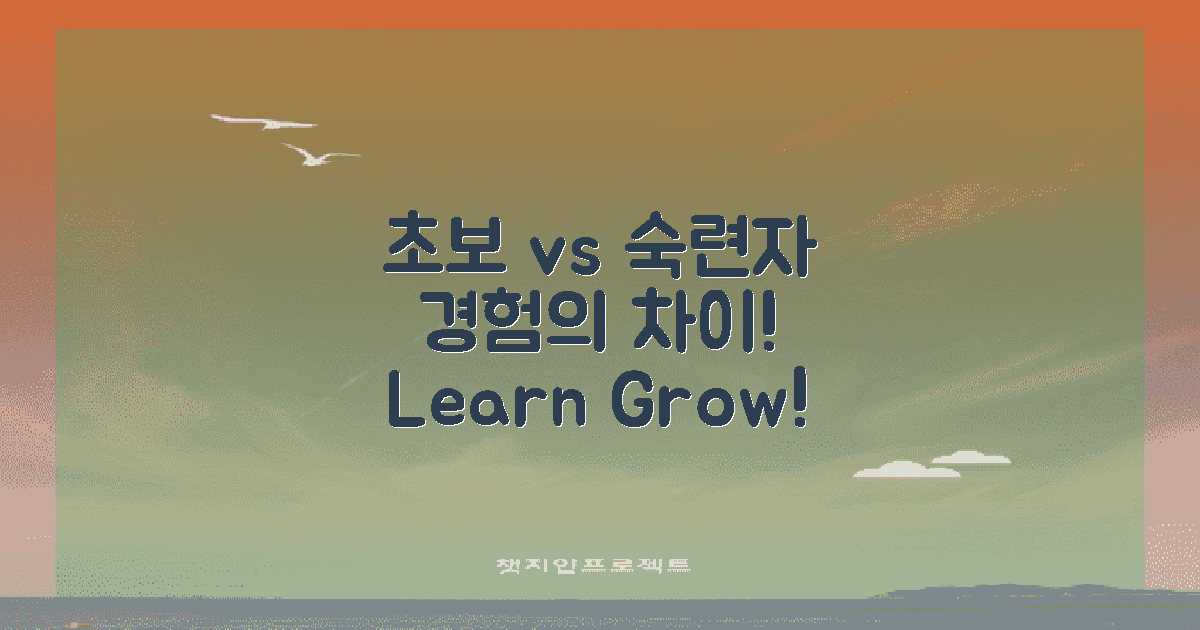 초보자와 숙련자의 경험