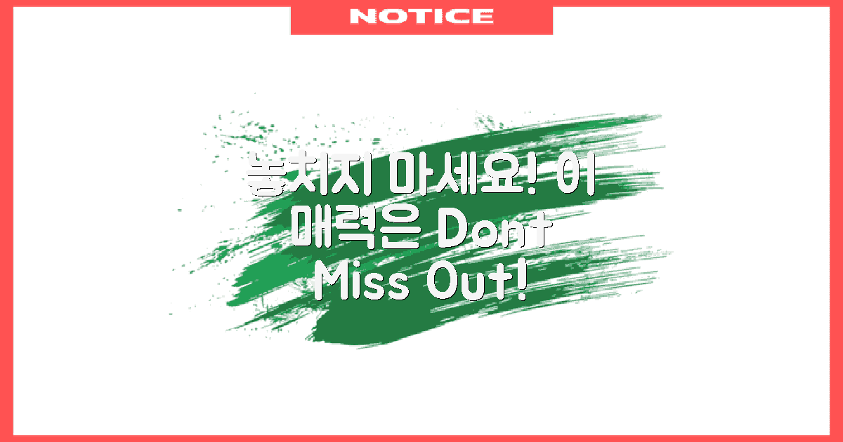 이 매력을 놓치지 마세요