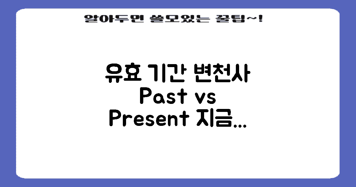 유효 기간 과거와 현재