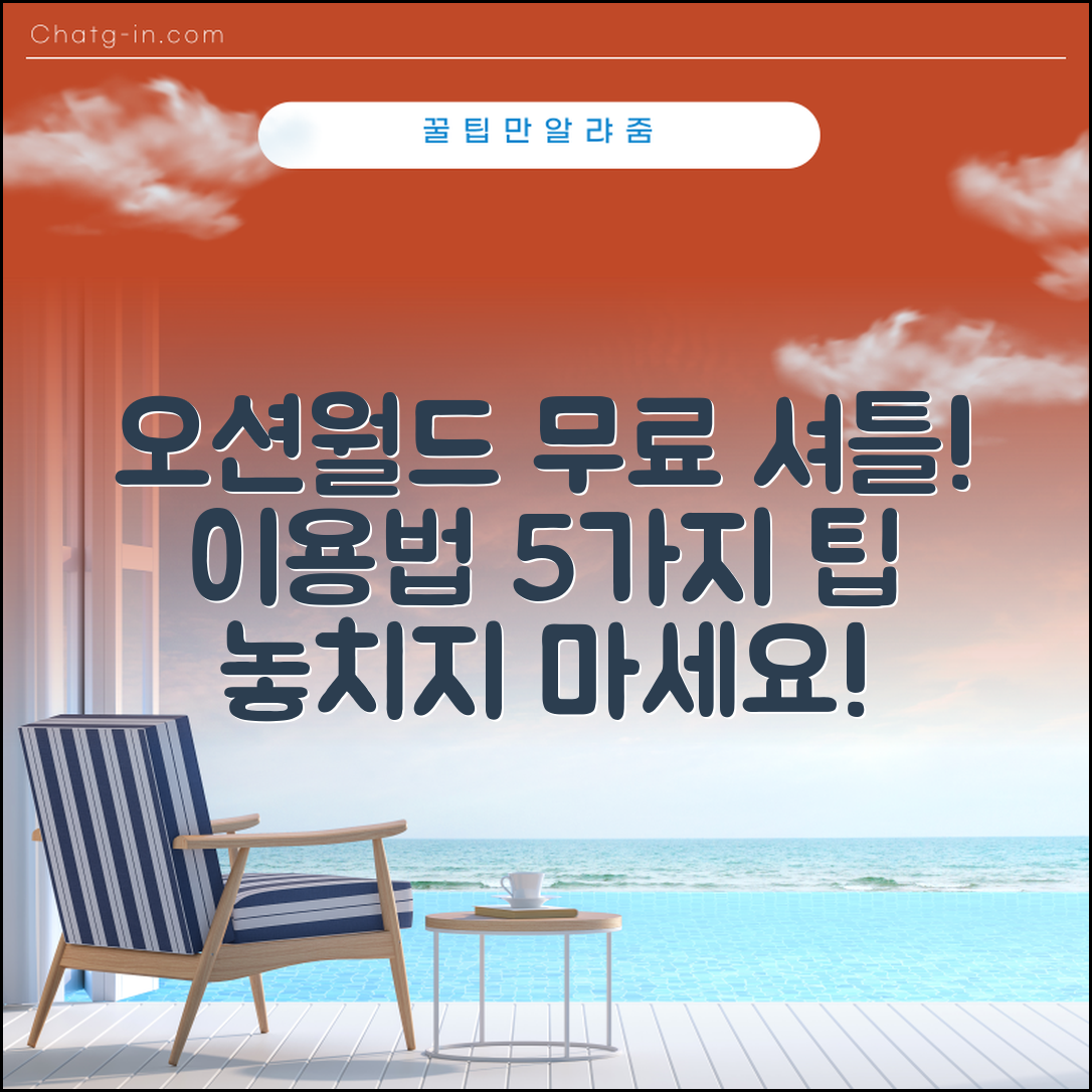 오션월드 무료셔틀버스 이용법 5가지 팁