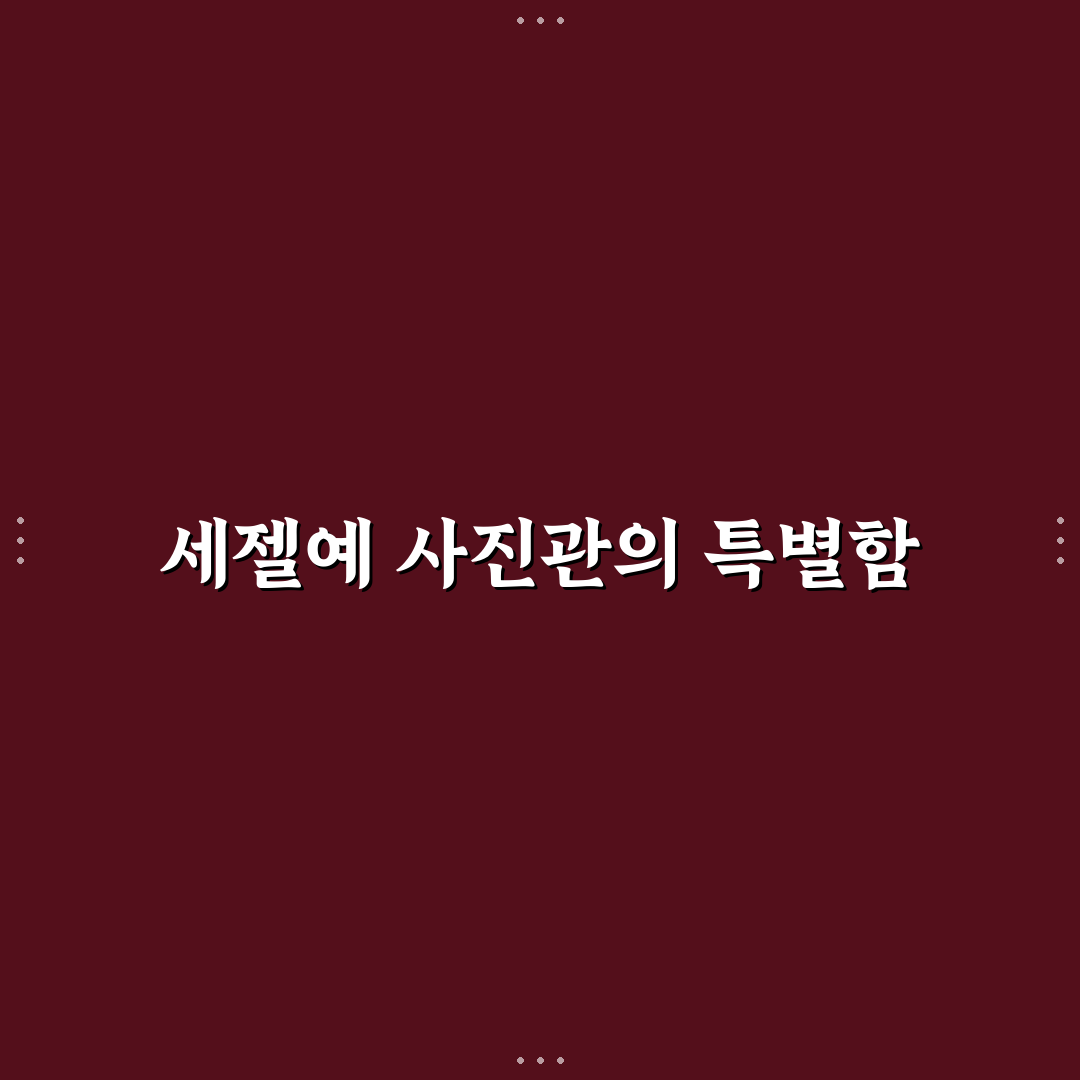 세젤예 사진관 선택 가이드와 주요 체크포인트 분석